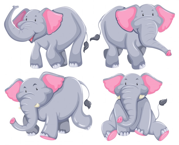 Free Vector four elephants in diferent poses