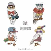 Free vector four fashion owls hand drawn in vintage style