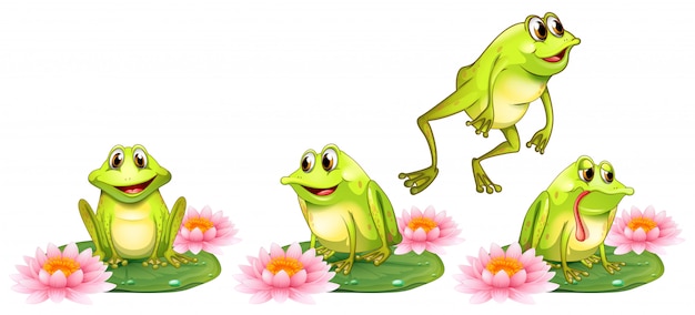 Free vector four green frogs on water lily