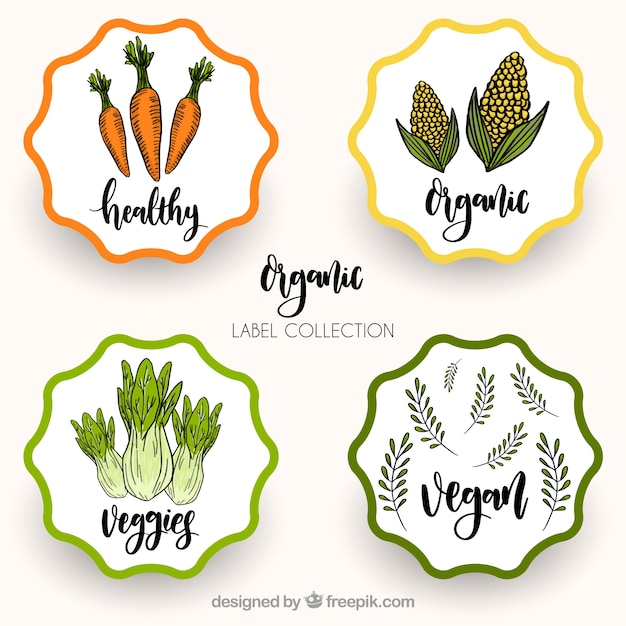 Free vector four healthy food retro stickers