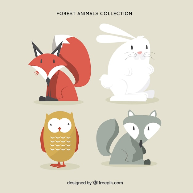 Four lovely forest animals 