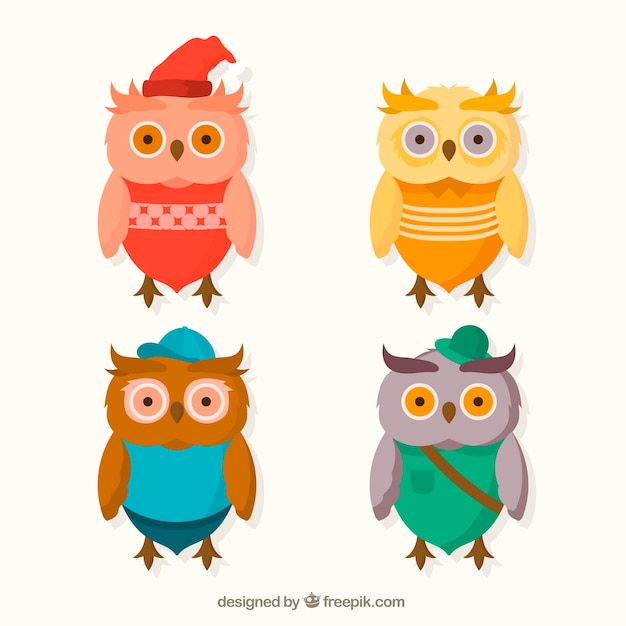 Four owls with clothes