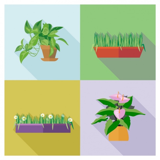 Free vector four pots