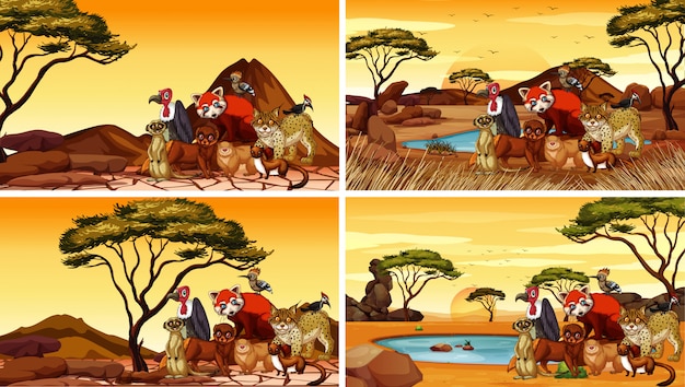 Quattro scene con molti animali nel deserto
