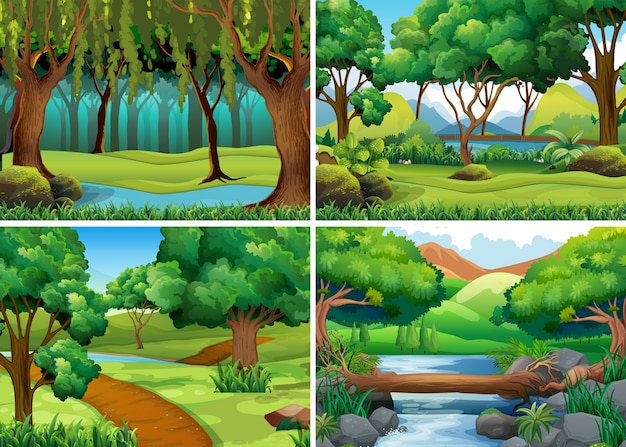 Four scenes of forest and river