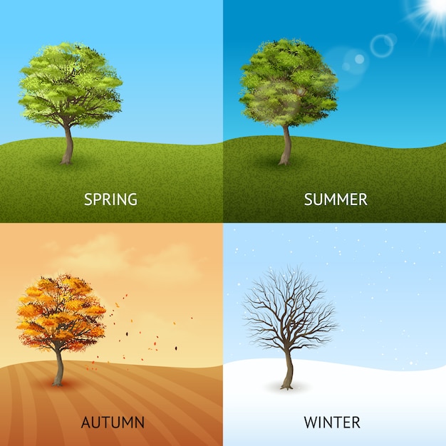 Four season concept set with trees on sky background