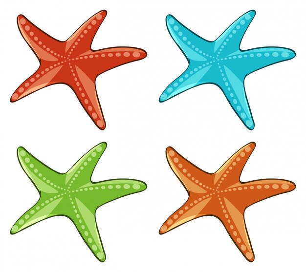 Четыре морские звезды разных цветов