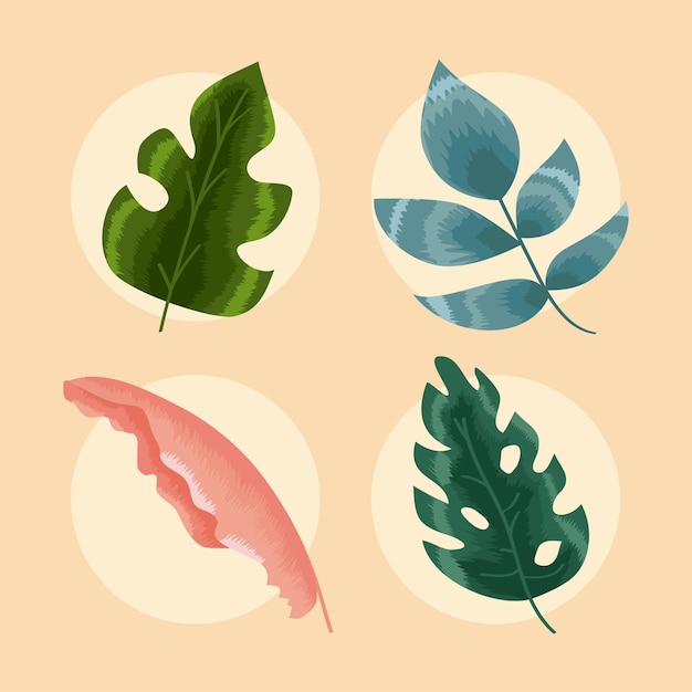 Free vector four tropical leafs set icons