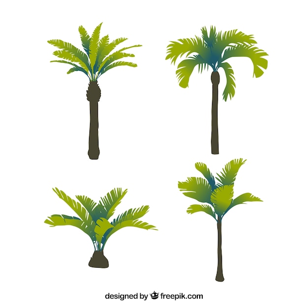 Free vector four tropical palm trees