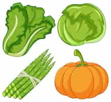 Free vector four types of vegetables on white background