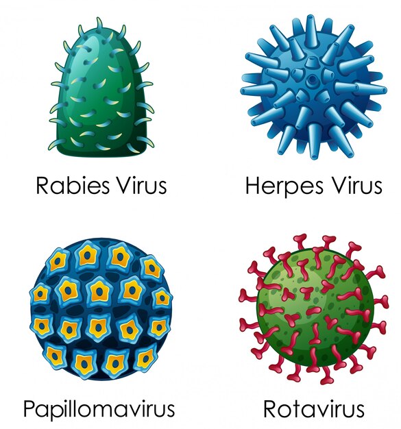 Four types of viruses on poster