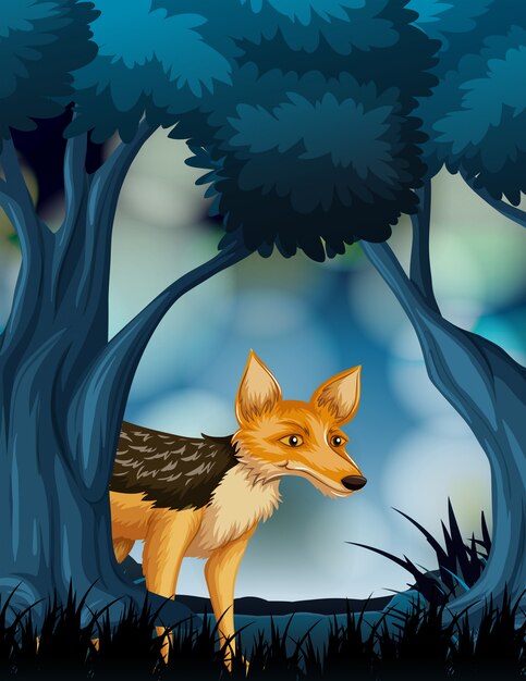 Fox in dark nature scene