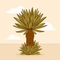 Free vector frailejon plant illustration