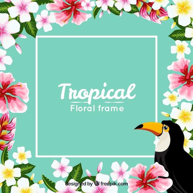 Free vector frame background and tropical flowers with toucan