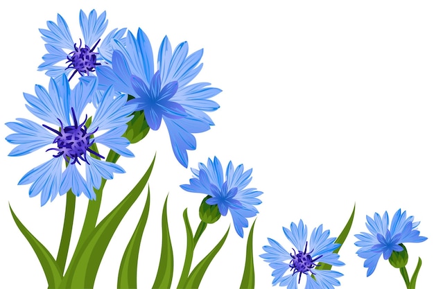 Frame of leaves and flowers cornflower