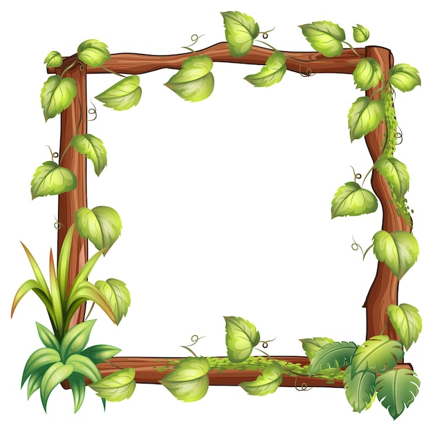 Frame of liana branches and leaves