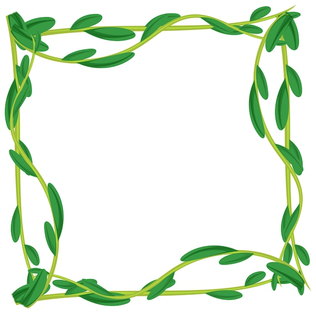 Frame of liana branches and leaves