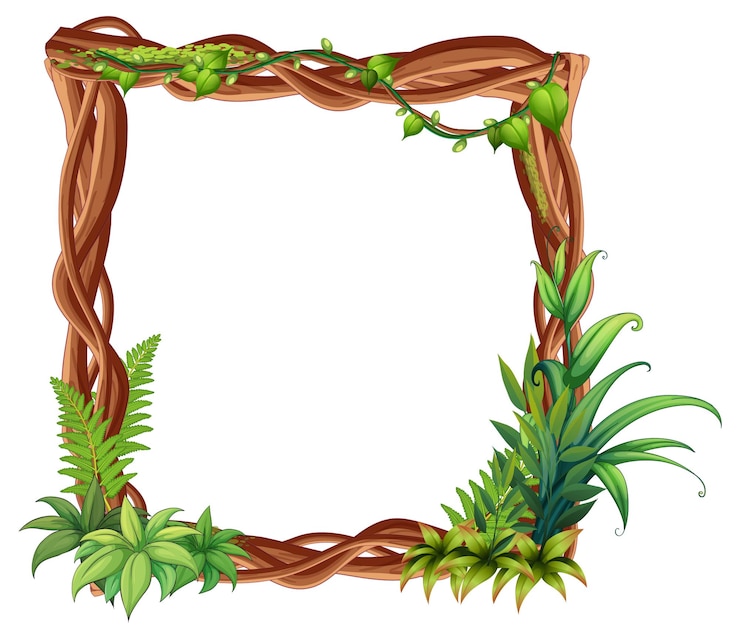 Free Vector frame of liana branches and leaves