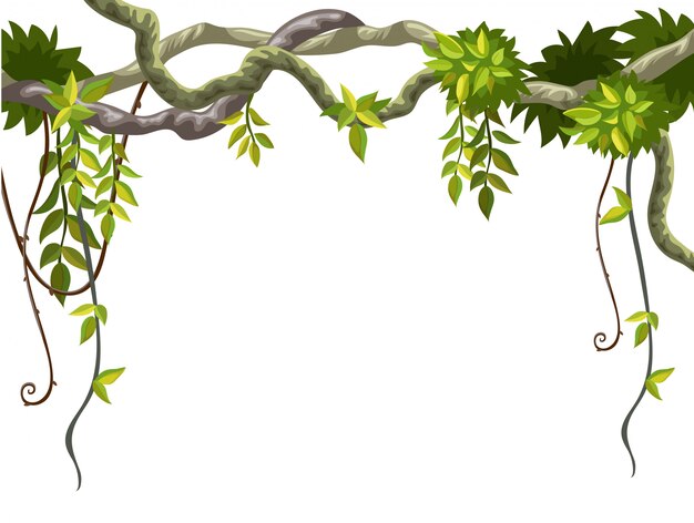 Frame of liana branches and tropical leaves.