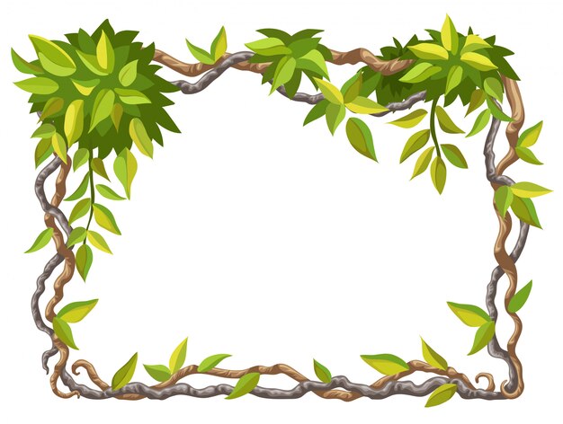 Frame of liana branches and tropical leaves.