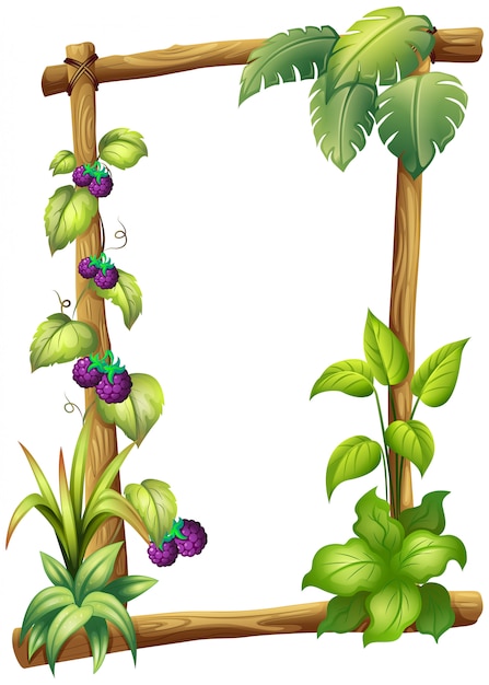 Free vector a frame made of wood with vine plants