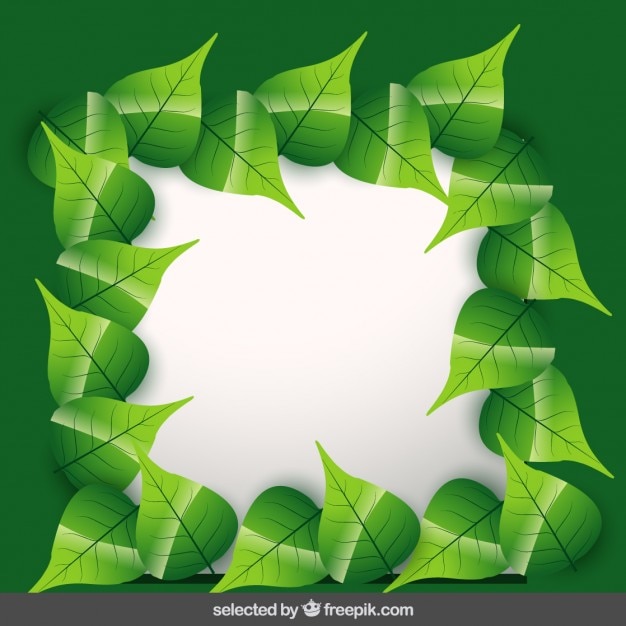 Free vector frame surrounded with leaves