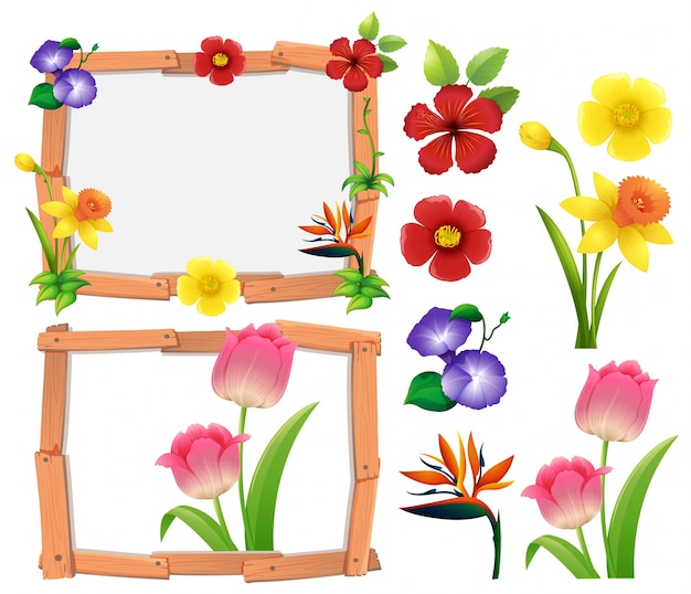 Free vector frame template with different types of flowers