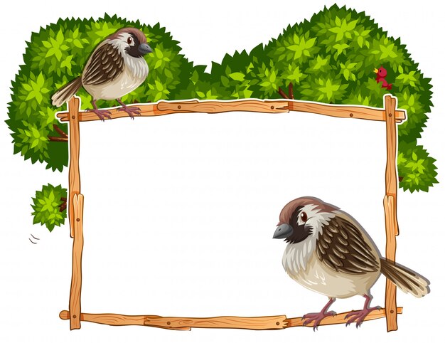 Free vector frame template with two sparrows