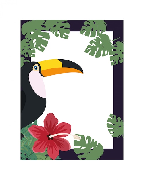 Frame of toucan and summer flower