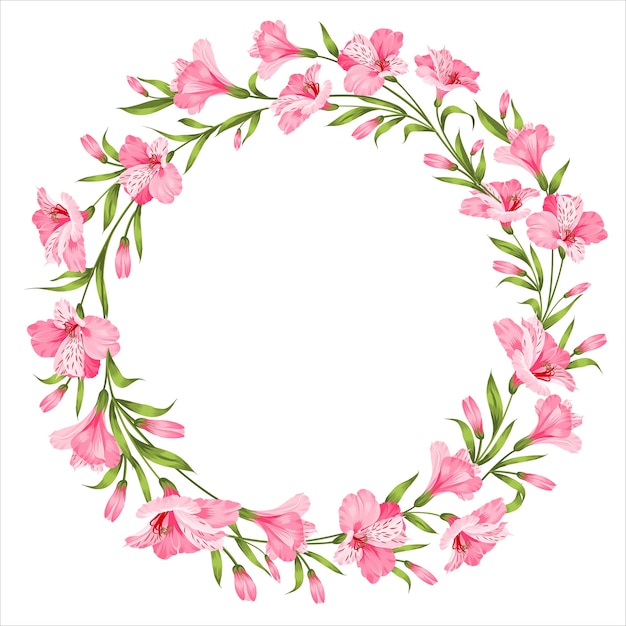 Frame of tropical flower on white background. Vector illustration.