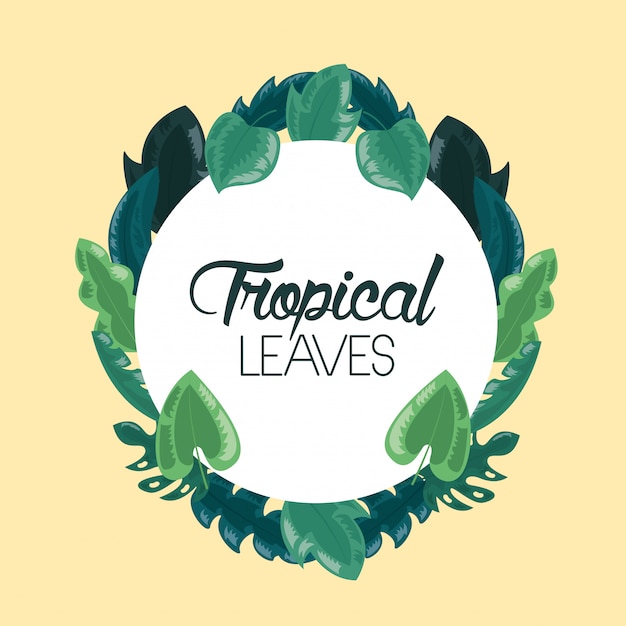 Free vector frame tropical leaves