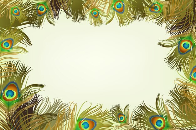 Frame with peacock feathers.