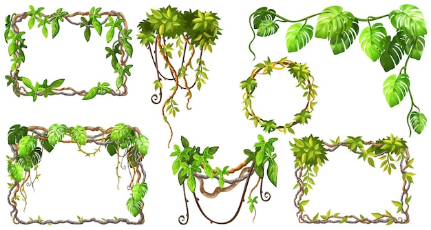 Бесплатное векторное изображение Рамы и лианы из веток и листьев