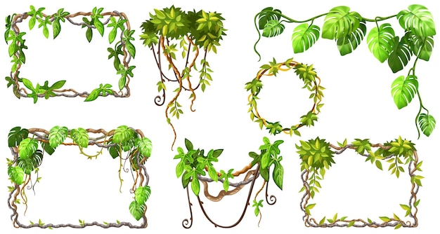 Free vector frames and lianas of branches and leaves