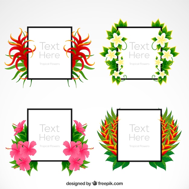 Free vector frames with tropical flowers set