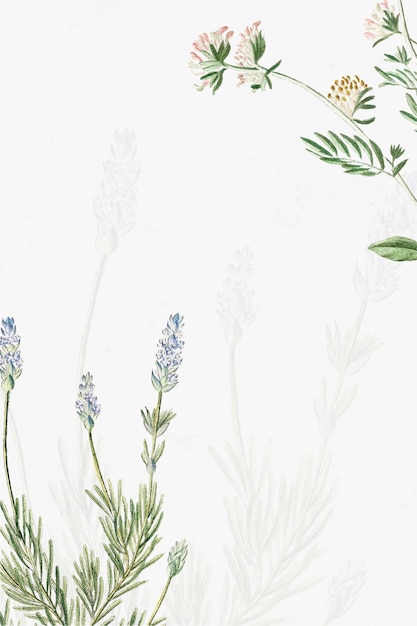 Free vector french lavender and kidney