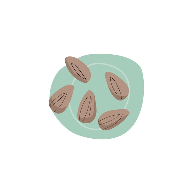 Fresh almonds healthy ingredient vector