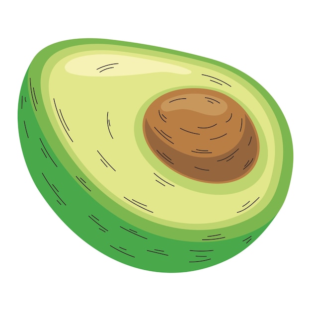 Free vector fresh avocado half vegetable