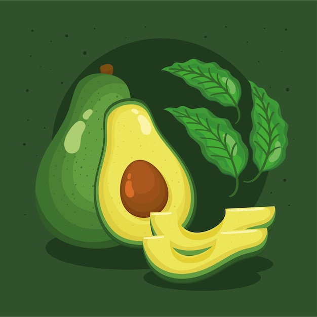 Free vector fresh avocados and leafs