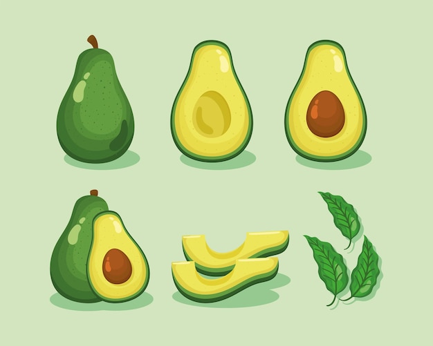 fresh avocados vegetables set icons