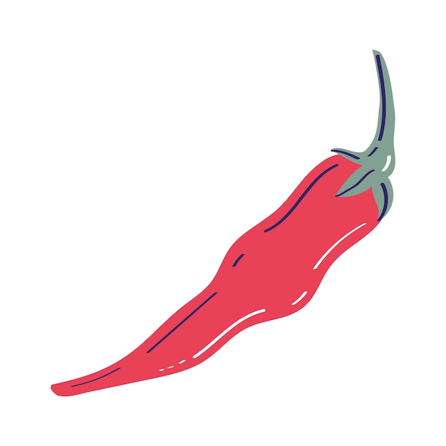 Free vector fresh chilli vegetable