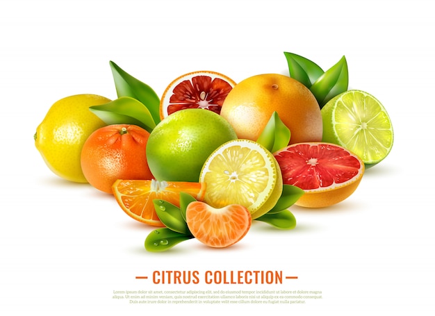 Fresh citrus fruit collection on white