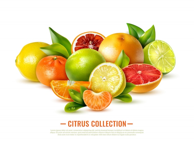 白の新鮮な柑橘系の果物のコレクション