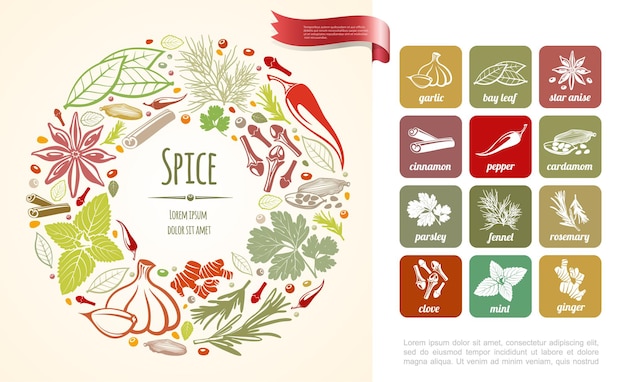 Free vector fresh cooking spices round  with healthy plants in hand drawn style illustration