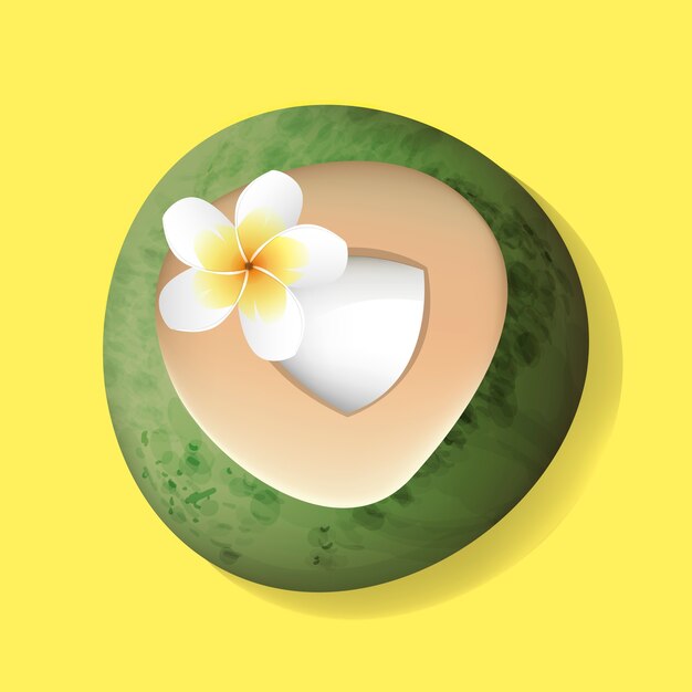 Fresh Cut Open Coconut with Flower Illustration