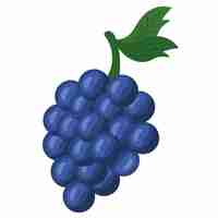 Free vector fresh grapes fruit healthy