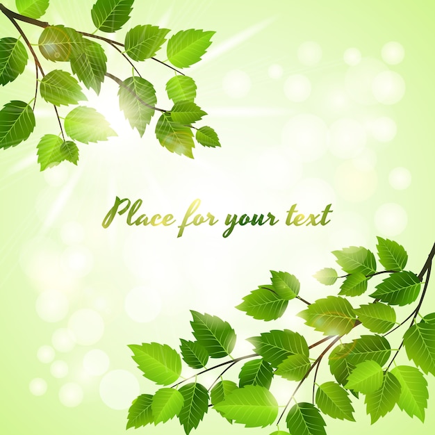 Fresh green background with spring leaves in two opposing corners over a boheh of sparkling sunlight with copyspace