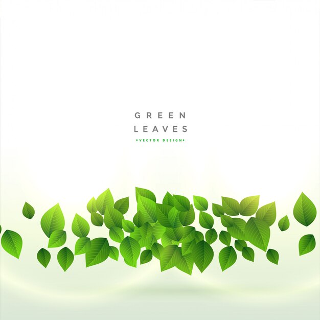 Свежие зеленые листья дизайн фона