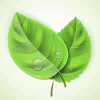 Free vector fresh green leaves with water drops