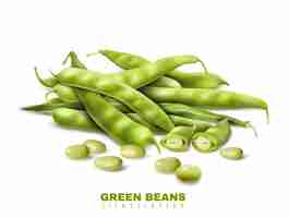 Free vector fresh green organic beans cut and whole pods close up realistic image healthy food advertisement vector illustration